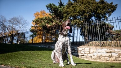 Luxe at Union Hill in Kansas City, MO - Building Photo - Building Photo