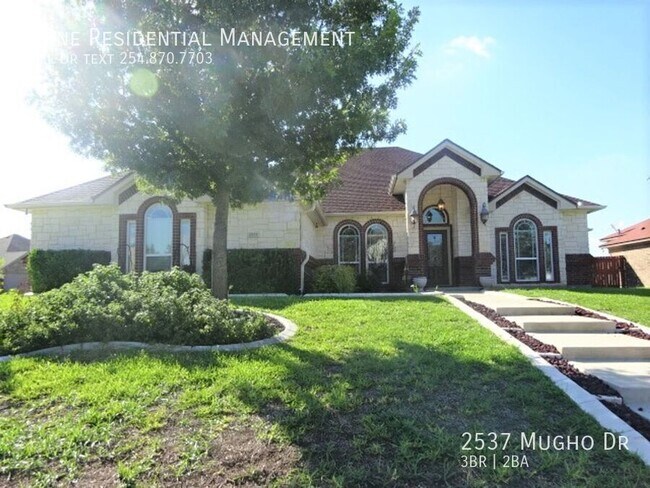 2537 Mugho Dr in Harker Heights, TX - Building Photo - Building Photo