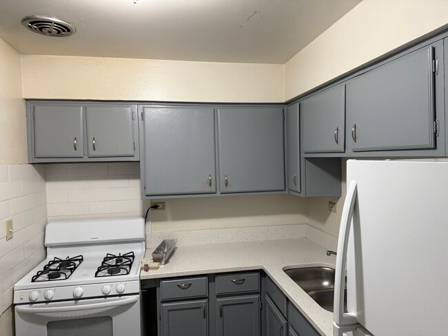 844 College Blvd, Unit 101 in Addison, IL - Building Photo - Building Photo