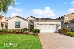 20241 Merry Oak Ave in Tampa, FL - Building Photo