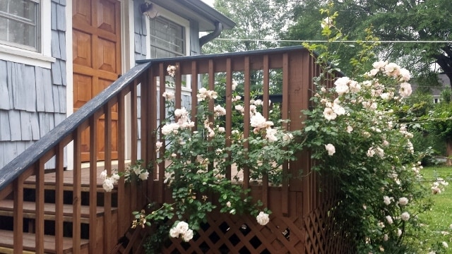 135 Marble Mill Rd NW in Marietta, GA - Foto de edificio - Building Photo