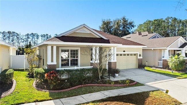 4830 Sky Blue Dr in Lutz, FL - Building Photo - Building Photo