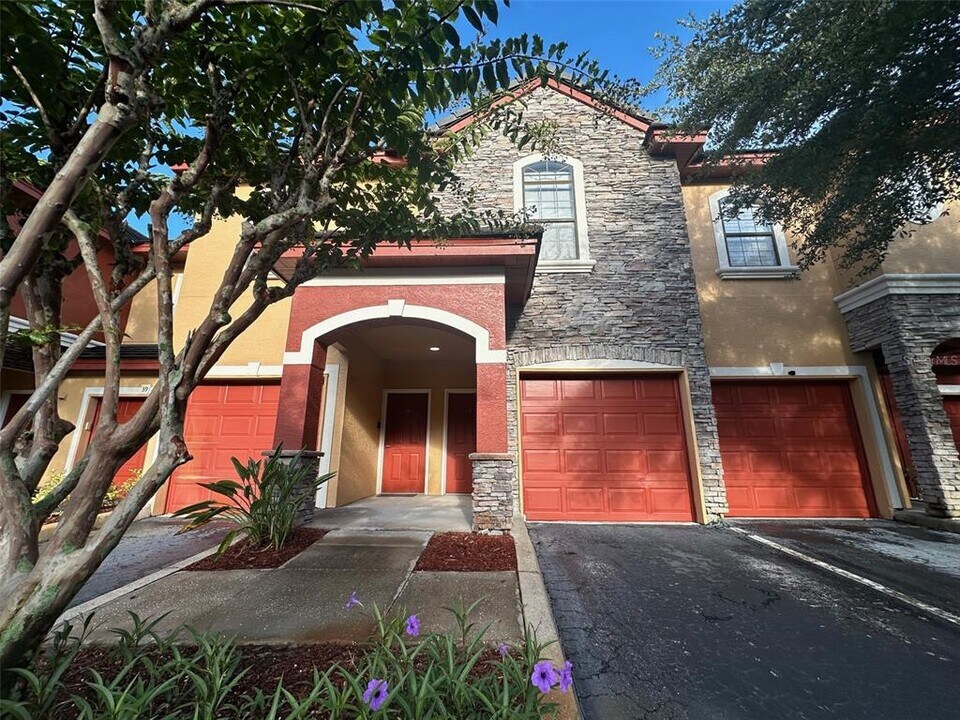 2277 Chianti Pl in Palm Harbor, FL - Building Photo