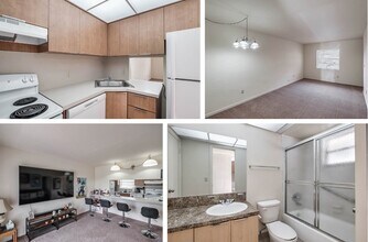 7000 SW 23rd St, Unit 48 in Miami, FL - Building Photo - Building Photo