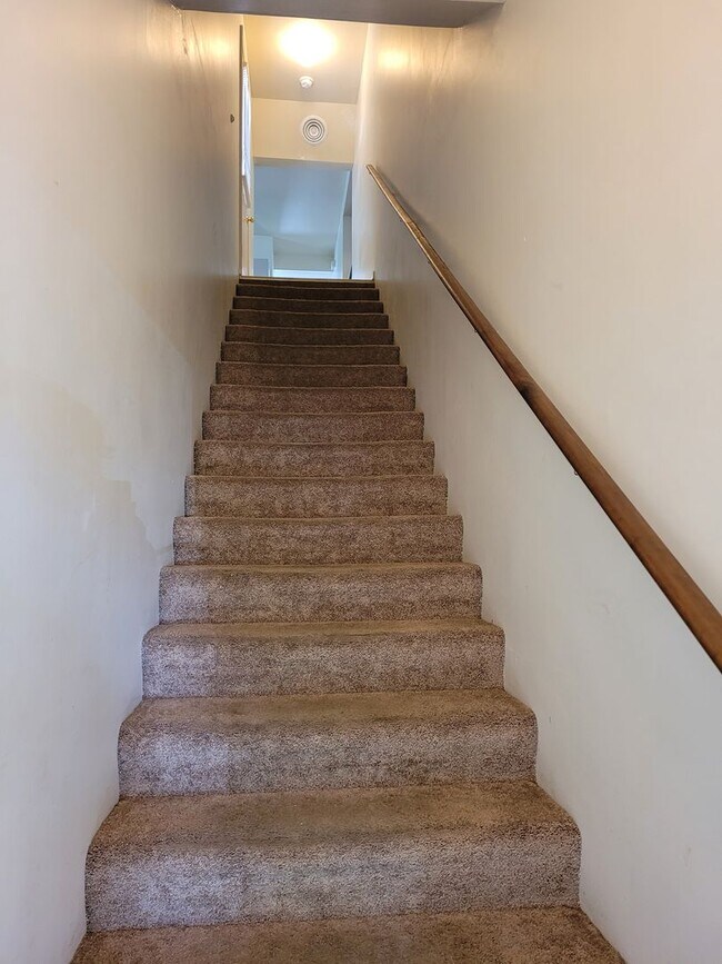 326 E Burd St in Shippensburg, PA - Building Photo - Building Photo