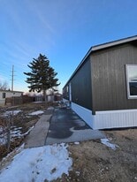 447 Badger Ln in Mills, WY - Building Photo