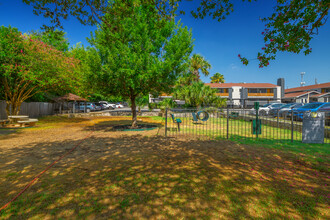 The Ascent Apartments in San Antonio, TX - Building Photo - Building Photo