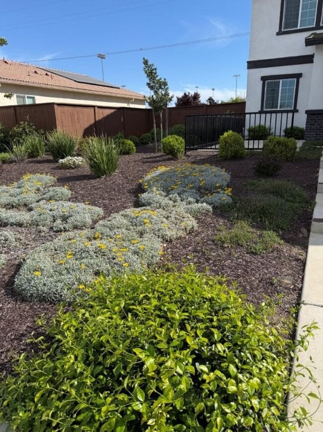 1266 Bray Dr in Woodland, CA - Building Photo - Building Photo