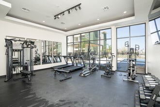 Trails on Jackson in Pharr, TX - Building Photo - Building Photo