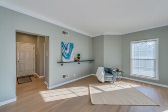 243 Boxcar Ave in Naperville, IL - Foto de edificio - Building Photo