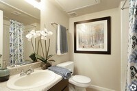 The Alora Apartments photo'