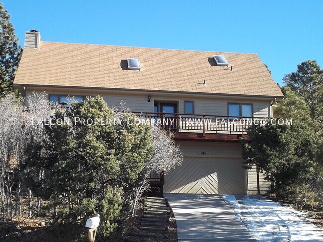 985 Pulpit Rock Cir S in Colorado Springs, CO - Building Photo - Building Photo