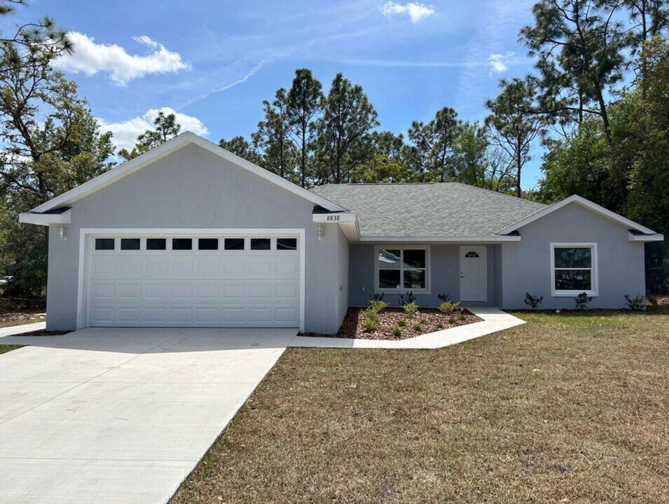 8838 SE 161st St in Summerfield, FL - Building Photo