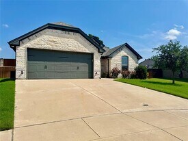 227 Jacinth Ln in Granbury, TX - Building Photo