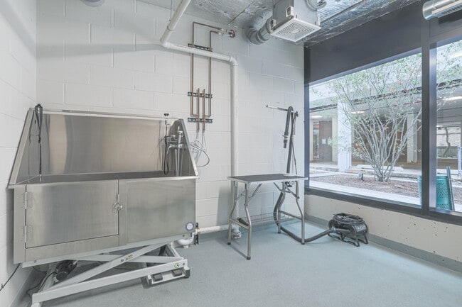 Albion Oak Park in Oak Park, IL - Foto de edificio - Interior Photo