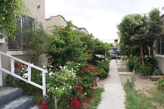 4167 Oakwood Ave in Los Angeles, CA - Building Photo - Building Photo