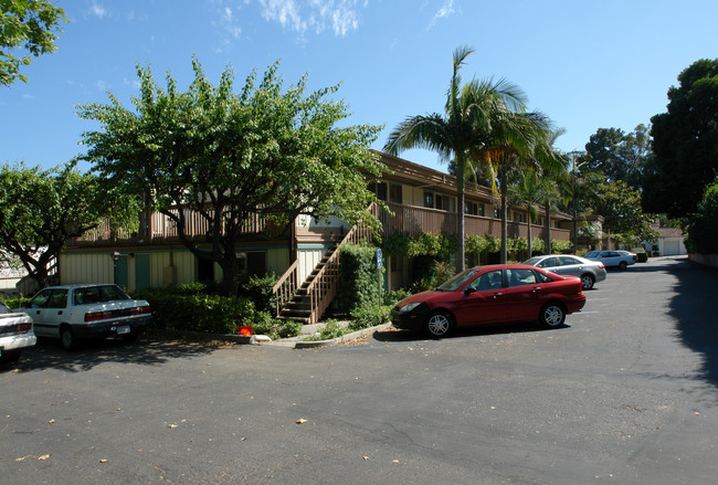 Sycamore Apartments in Santa Barbara, CA - Building Photo - Building Photo