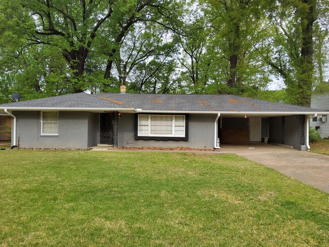 property at 4013 Graceland Dr