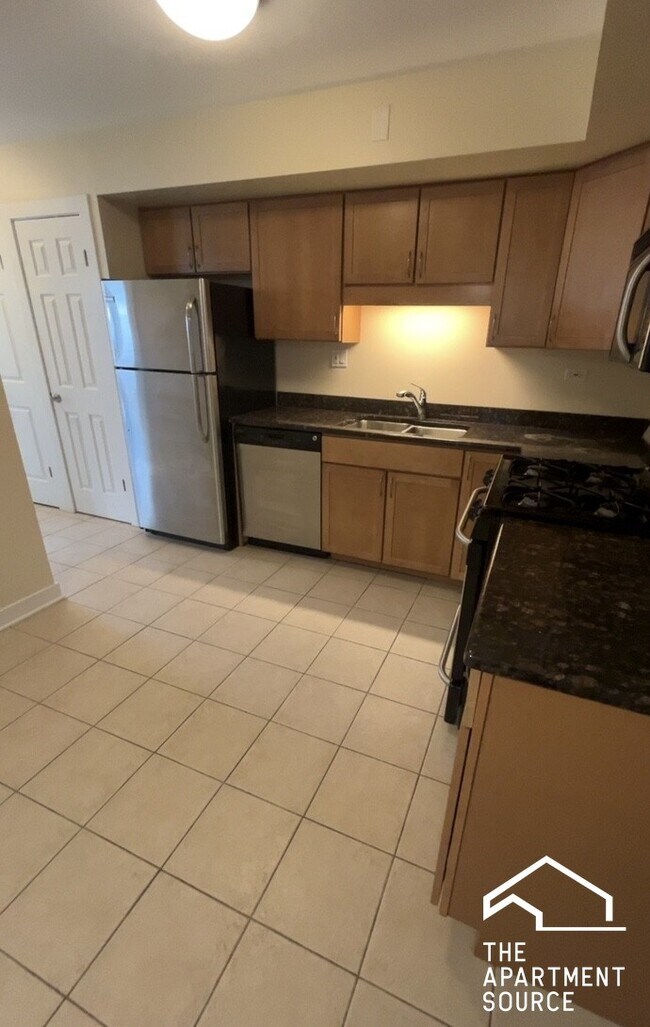 317 Wisconsin Ave, Unit 1C in Oak Park, IL - Foto de edificio - Building Photo