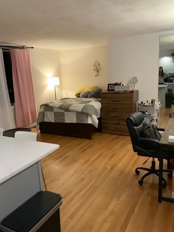 41 Park St, Unit 101 in Brookline, MA - Building Photo - Building Photo