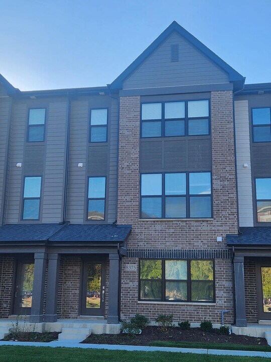 8375 Mulberry Ave in Morton Grove, IL - Building Photo