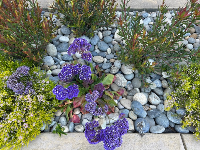 3269 Serra Ave in Carmel By The Sea, CA - Building Photo