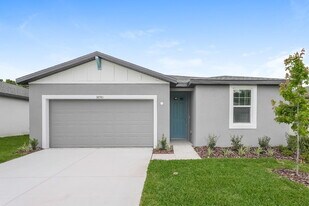 38981 Harlow Rose Dr in Zephyrhills, FL - Building Photo