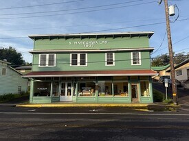 45-3587-3587 Mamane St in Honokaa, HI - Building Photo
