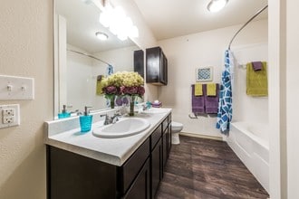 The Vista in San Antonio, TX - Foto de edificio - Building Photo