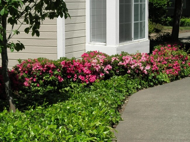 1920 Lazzini Ave in Santa Rosa, CA - Building Photo - Building Photo