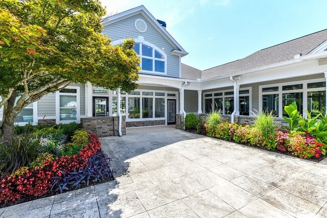 Avana North Point
