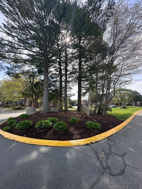 107 Erin Rd in Stoughton, MA - Building Photo - Building Photo