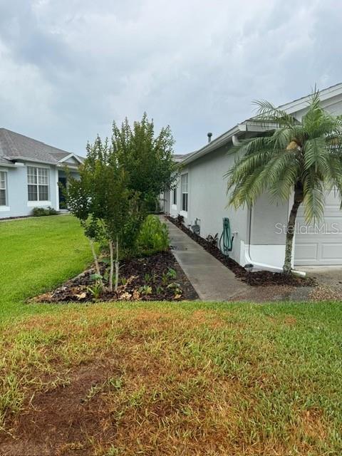 2929 Tanglewylde Dr in Land O Lakes, FL - Building Photo - Building Photo