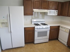 197 Peppergrass Cove in Kyle, TX - Building Photo - Building Photo