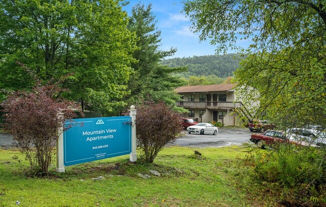Mountain View Apartments in Fallsburg, NY - Building Photo - Building Photo