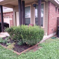 913 Brown Rock Dr in New Braunfels, TX - Building Photo