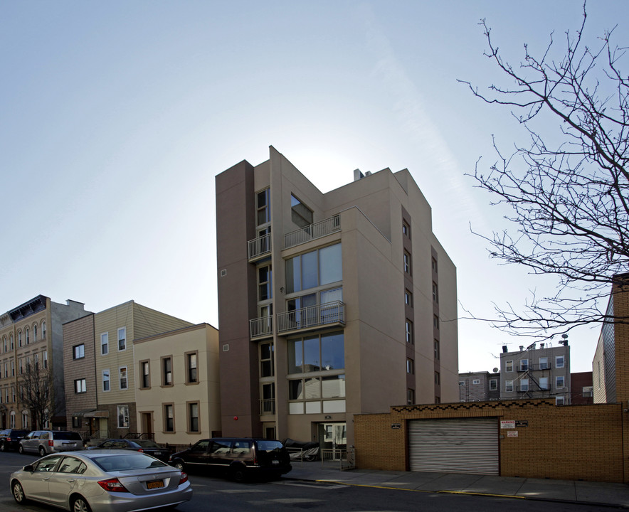 53 Diamond St in Brooklyn, NY - Building Photo