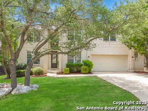 19531 Clay Oak