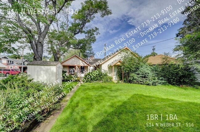 514 N Weber St in Colorado Springs, CO - Building Photo - Building Photo