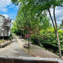 114 McCully Ln in Jacksonville, OR - Building Photo - Building Photo