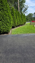 711 Chelsea St in Forked River, NJ - Building Photo - Building Photo