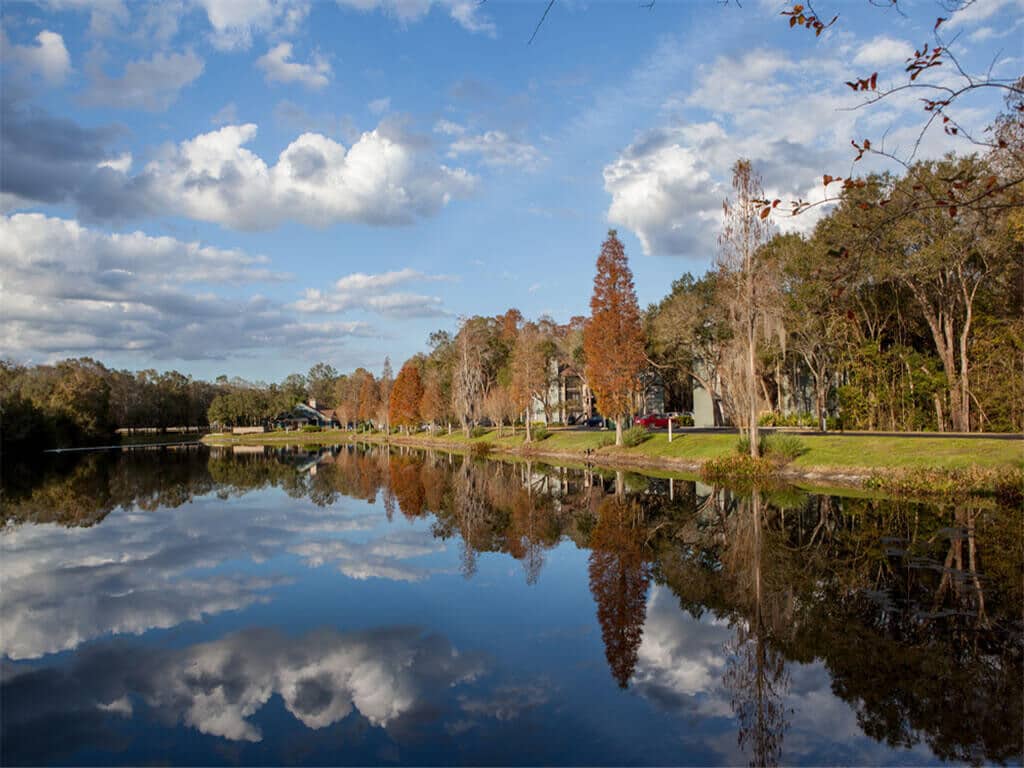 The Dawson Apartments in Tampa, FL