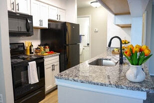 The Reflections in Virginia Beach, VA - Building Photo