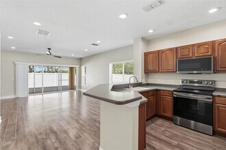 20484 Needletree Dr in Tampa, FL - Building Photo - Building Photo