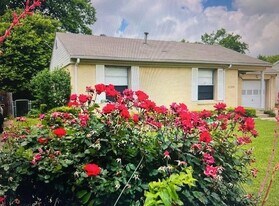 11209 Joaquin Dr in Dallas, TX - Building Photo