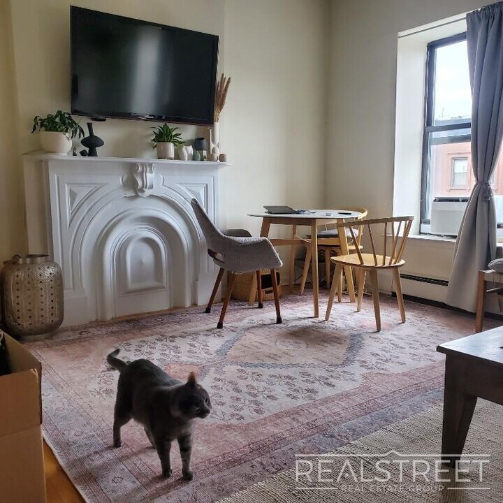 Charming 2BR with loads of sunlight in North Park Slope, Unit 4 in Brooklyn, NY - Building Photo