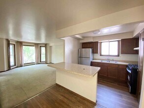 919 S Carpenter St in Chicago, IL - Building Photo - Building Photo