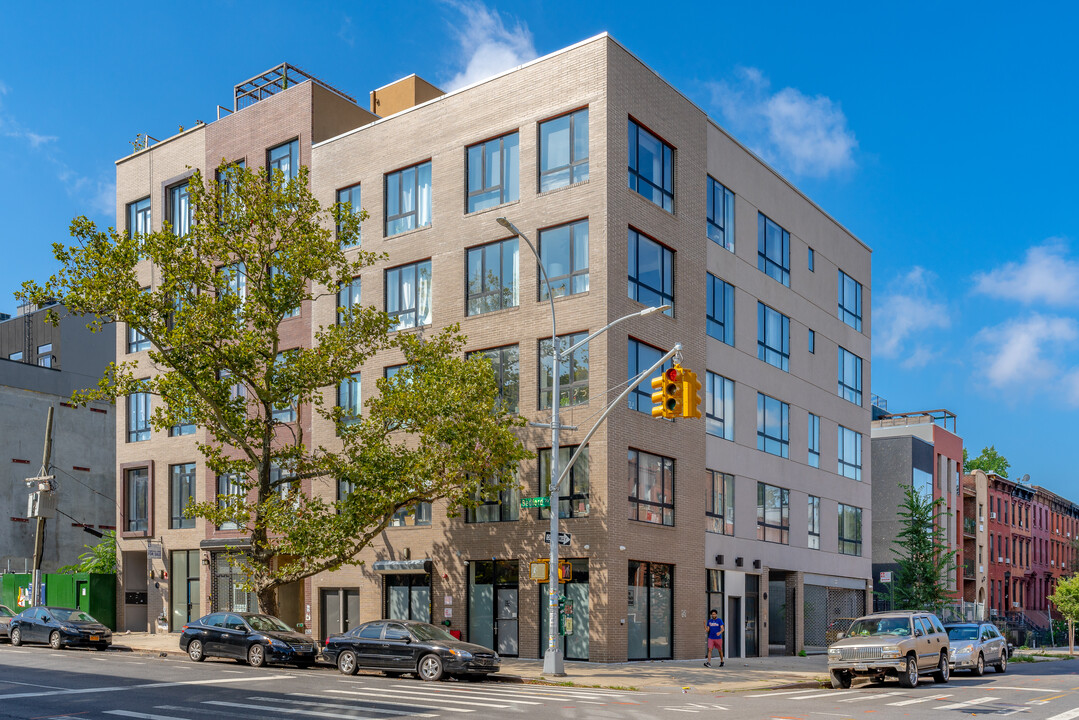 186 Putnam Ave in Brooklyn, NY - Building Photo