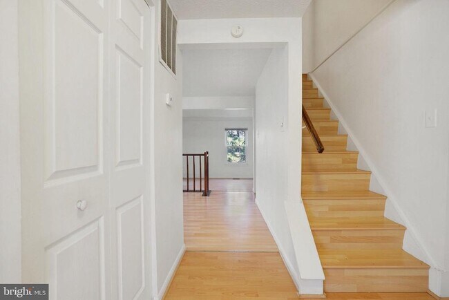 6515 Field Master Dr in Springfield, VA - Building Photo - Building Photo