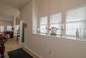 113 Creekview Dr in Anna, TX - Building Photo - Building Photo